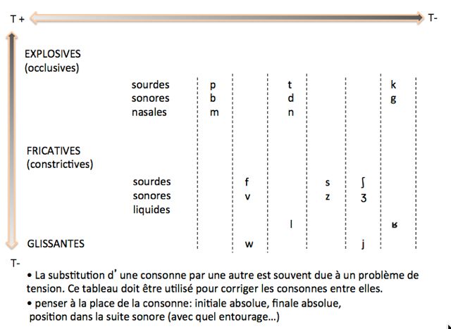 la tension des consonnes en verbo tonale