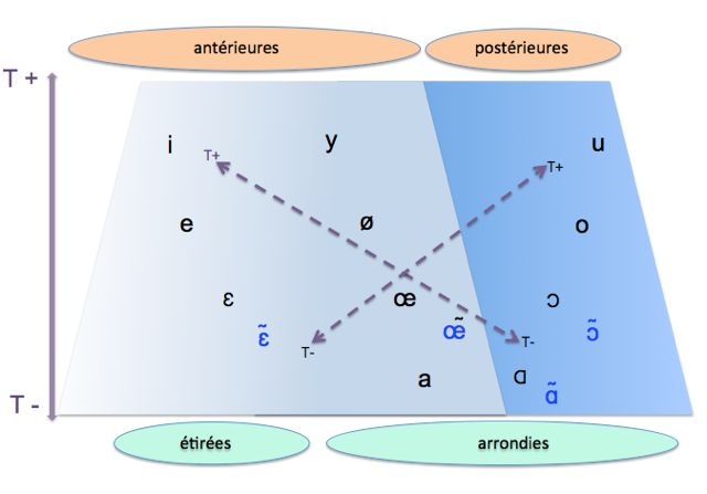 tension voyelles verbo tonale